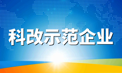 科改示范企业
