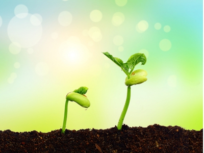 溪田农业生态园土壤改良方案